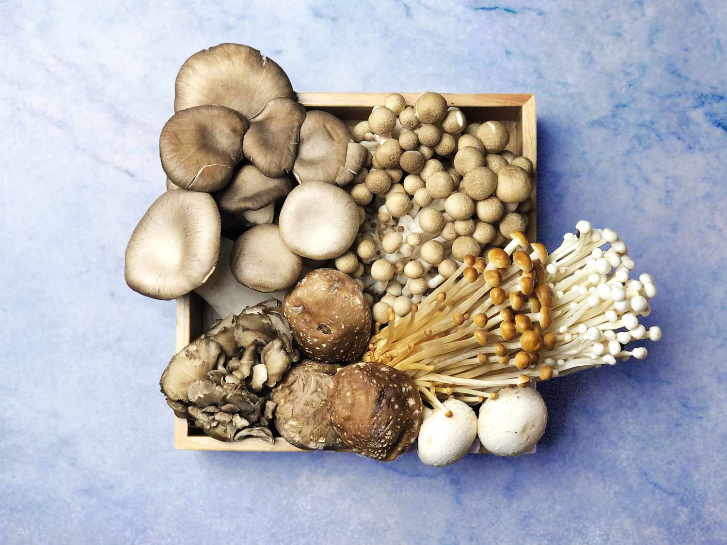 Nutritional value of mushrooms showing vitamins, minerals, and plant-based health benefits for vegan and vegetarian diets