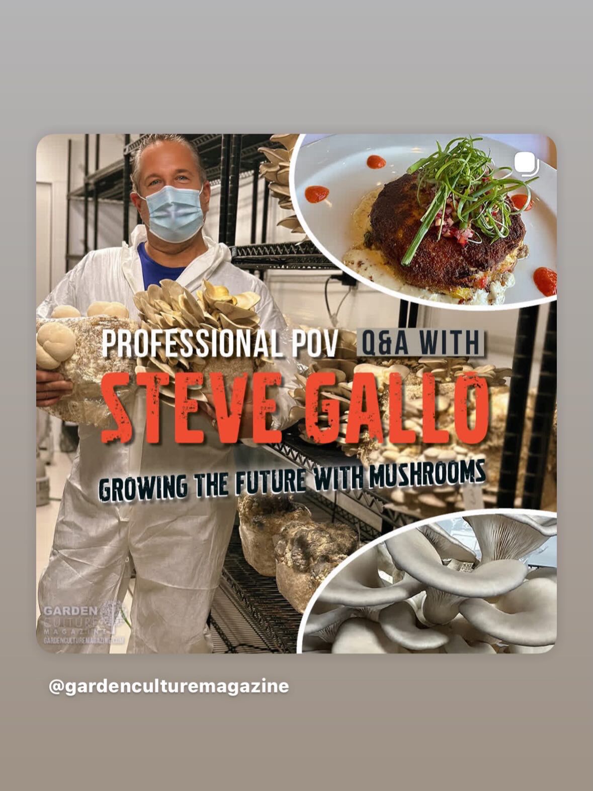 Professional mushroom farming and gourmet mushroom dish from Garden Culture Magazine interview