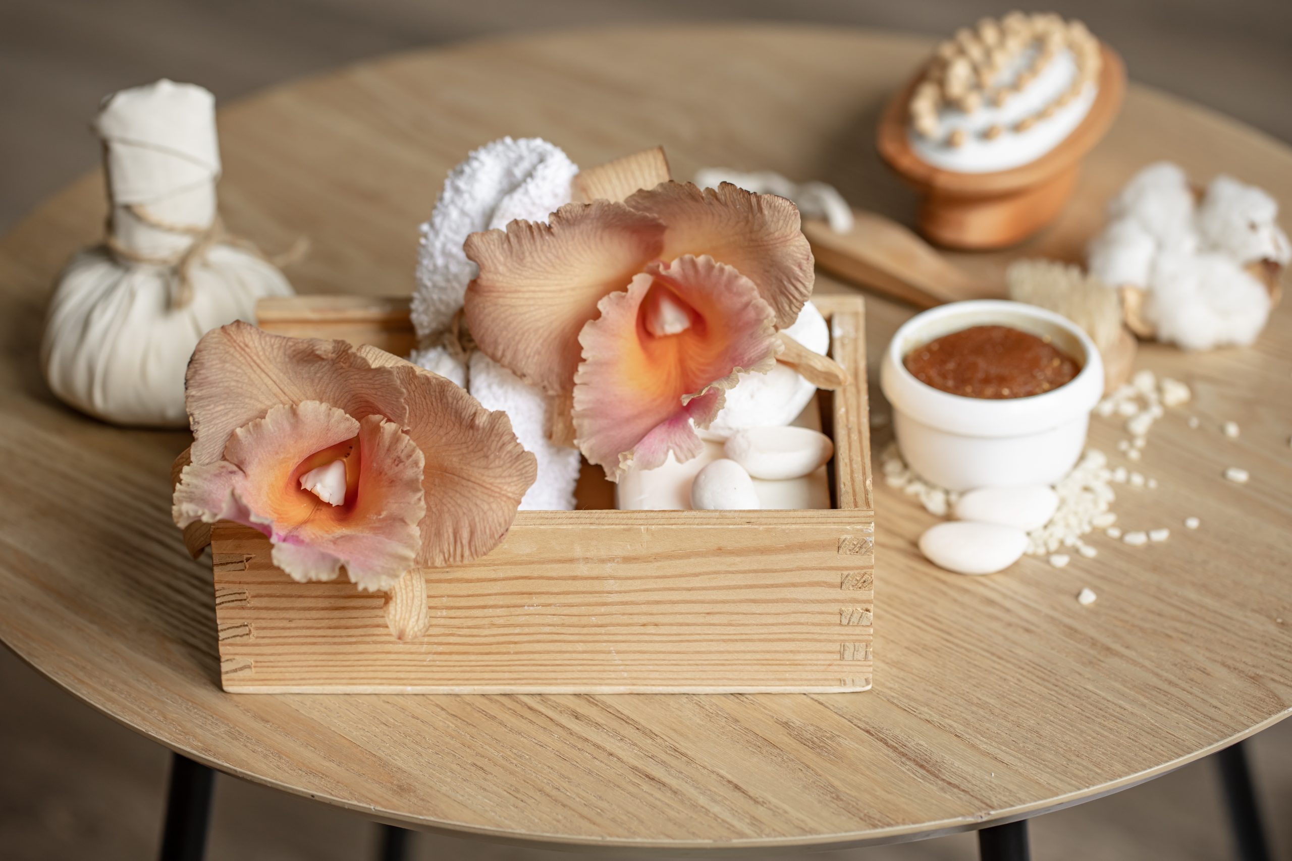 Adaptogenic mushrooms including Lion’s Mane, Reishi, and Cordyceps displayed with healthy vegan ingredients